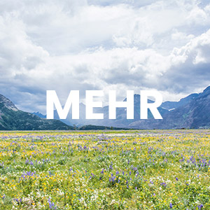 Alle Heilpflanzen